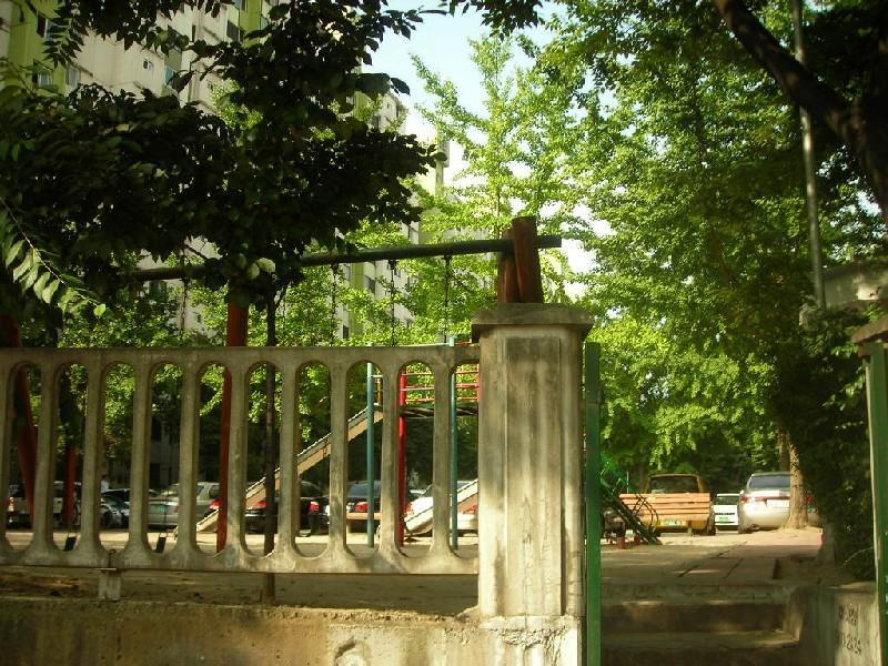 DSCN3657