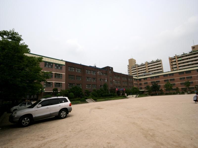 신학초교