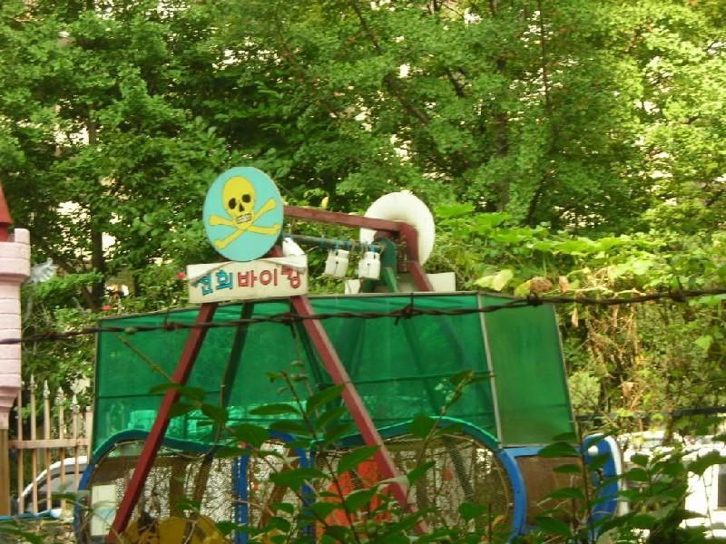 DSCN4091