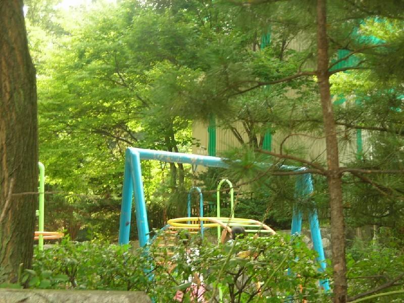 DSCN4021