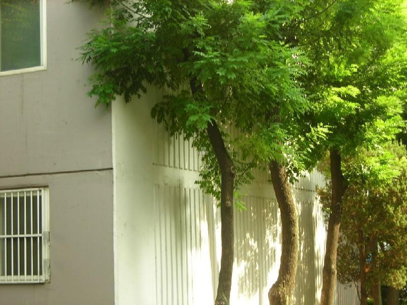 DSCN4018