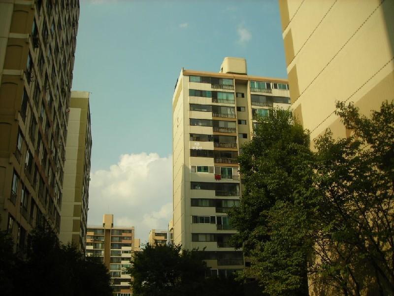 DSCN4066