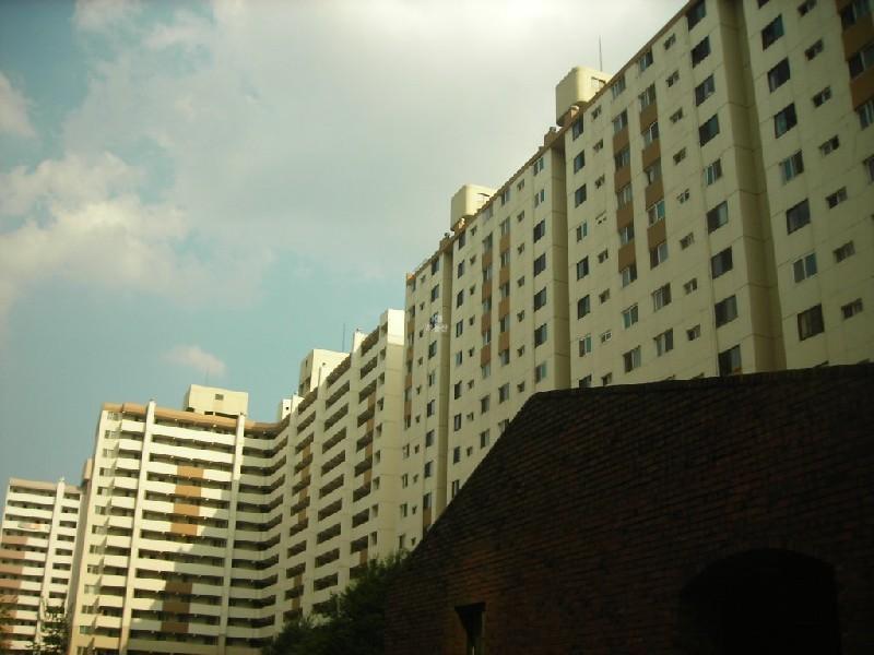 DSCN4074