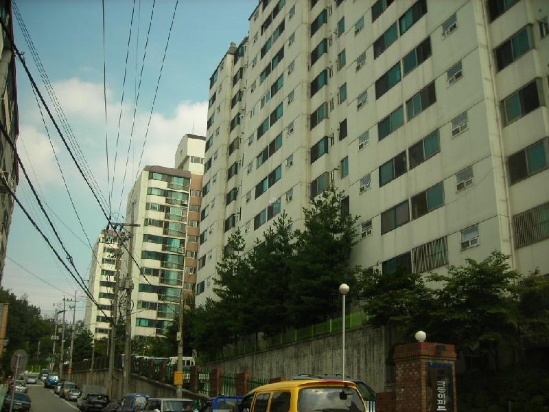 DSCN3982