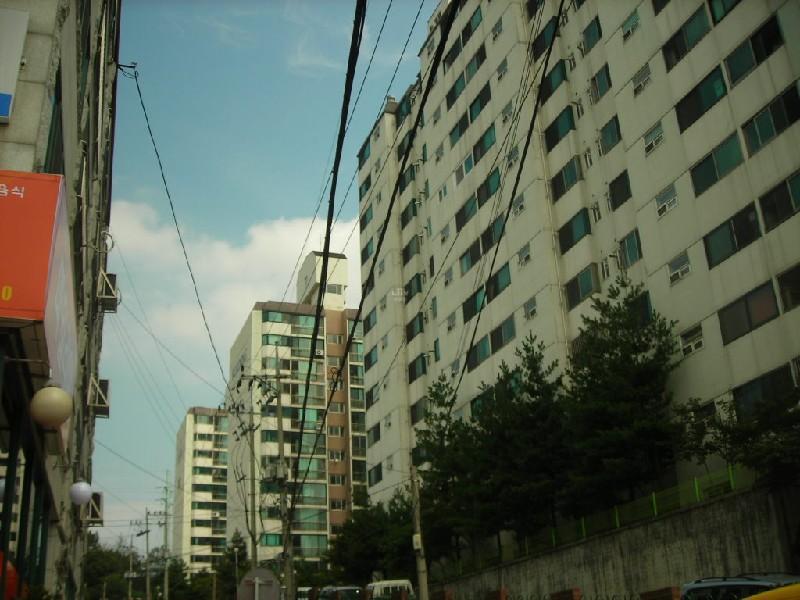 DSCN3985
