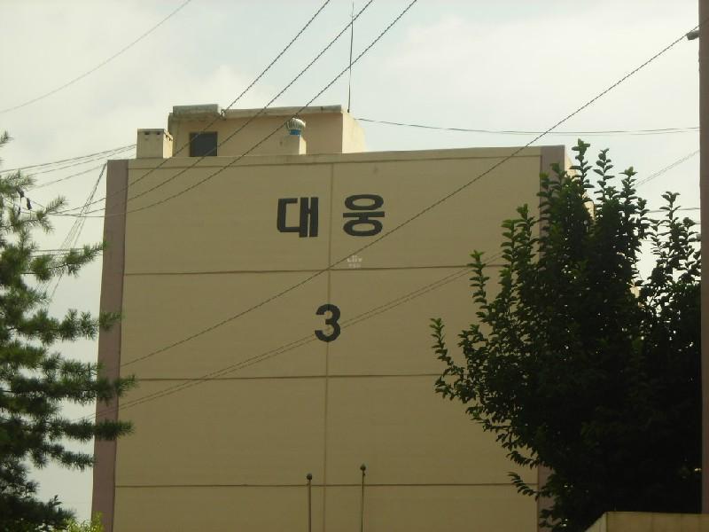 DSCN3820