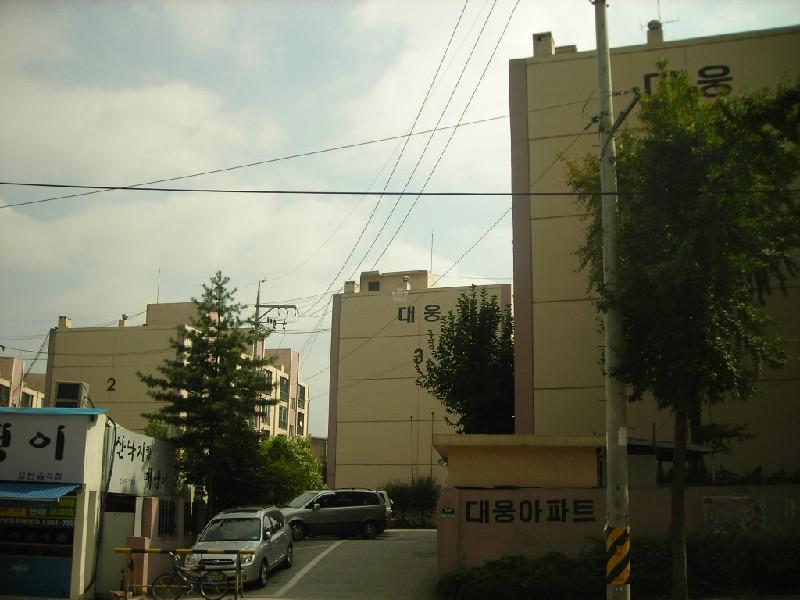 DSCN3825
