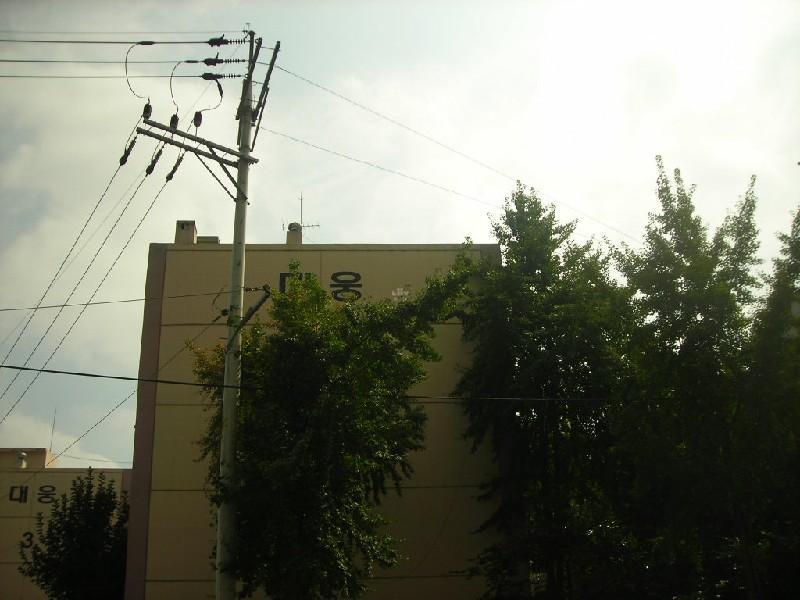DSCN3826