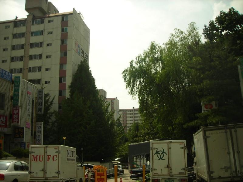 DSCN3919