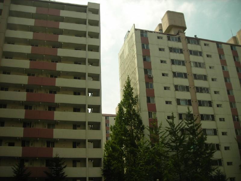 DSCN3936