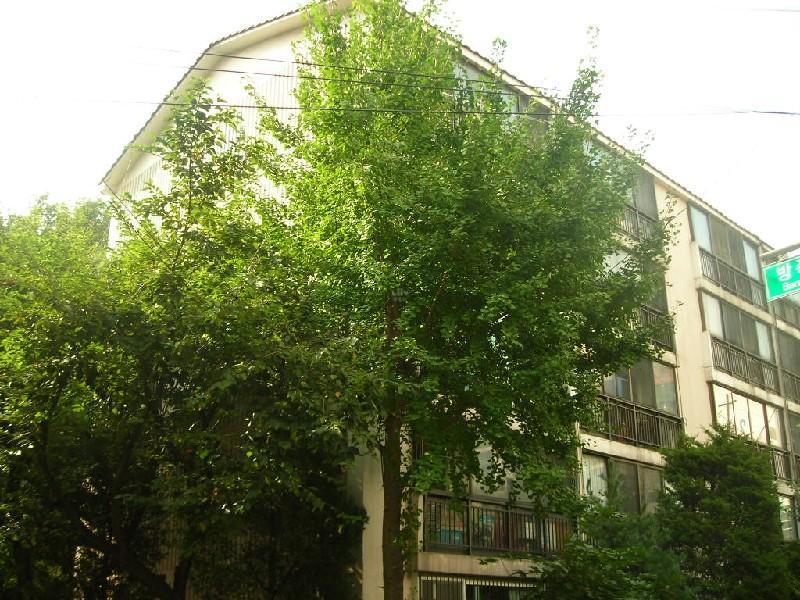 DSCN4144