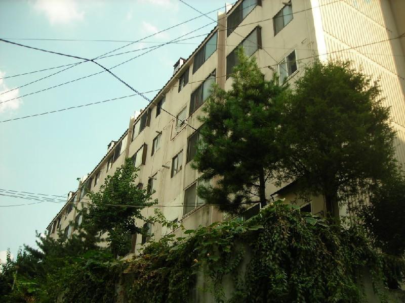 DSCN4150