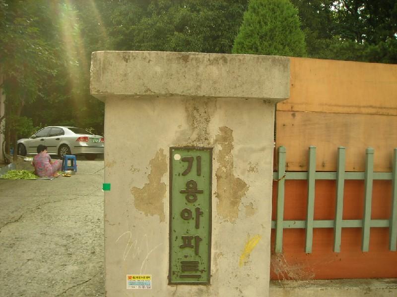 DSCN4139