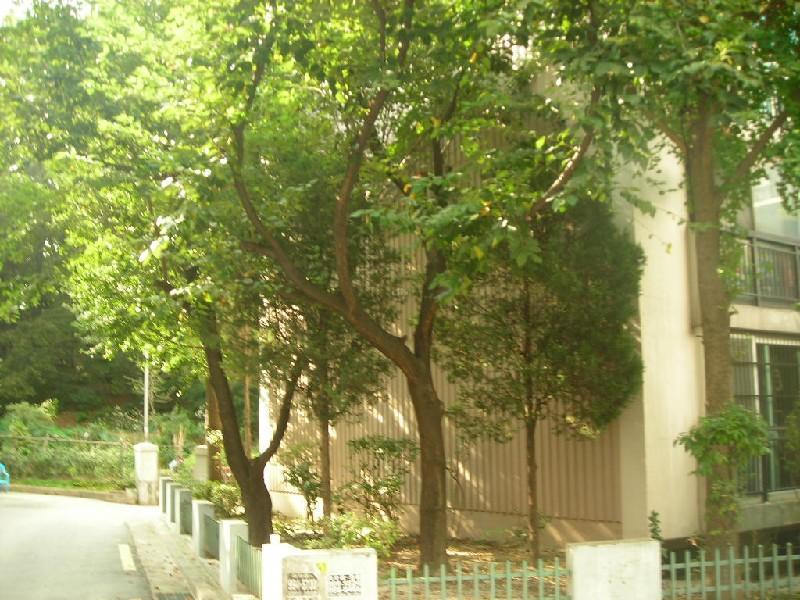 DSCN4148