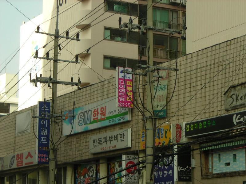 DSCN4228