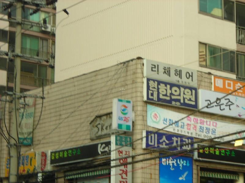 DSCN4229