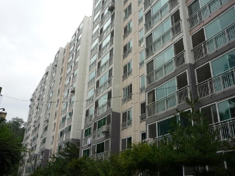 P1000135