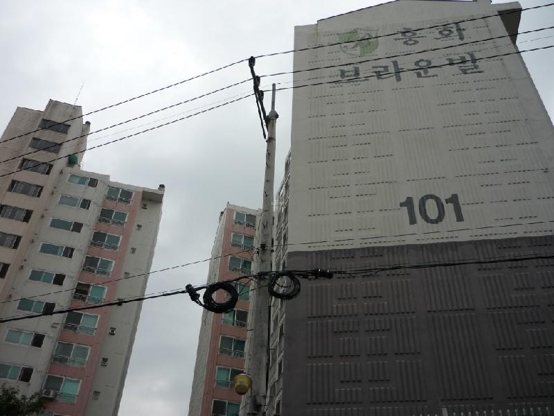 P1000137