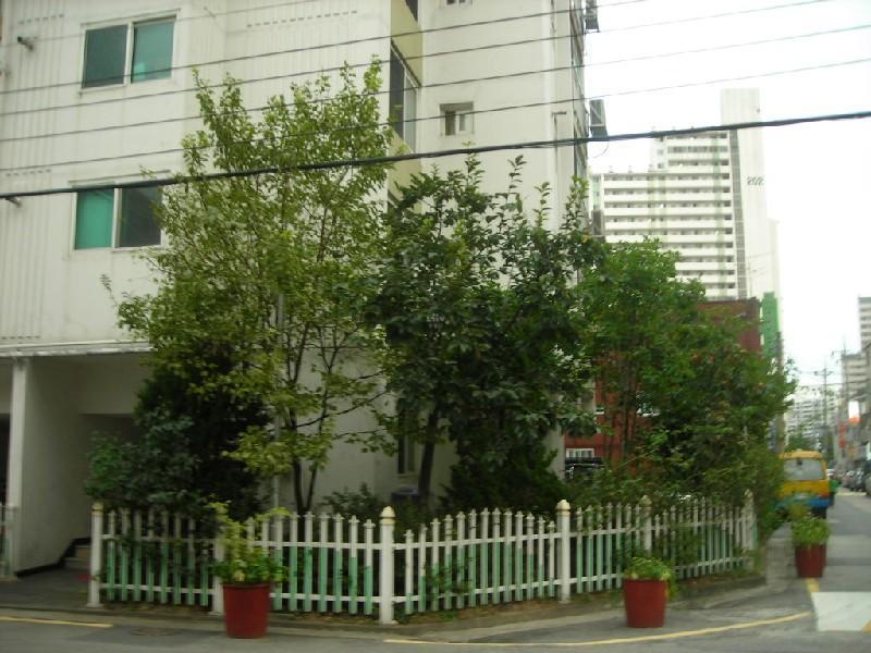 DSCN5565