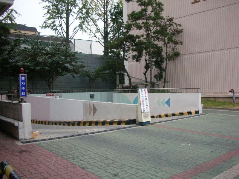 DSCN5951
