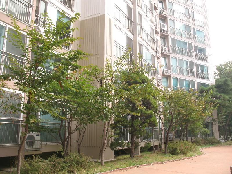 사진 025