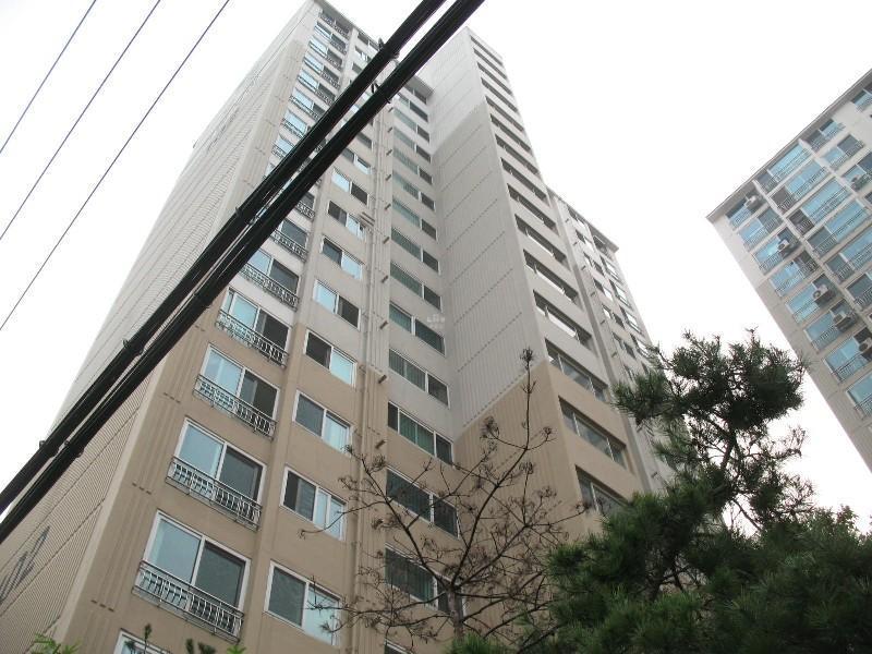 사진 799