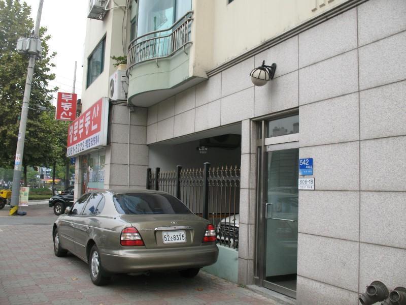사진 239
