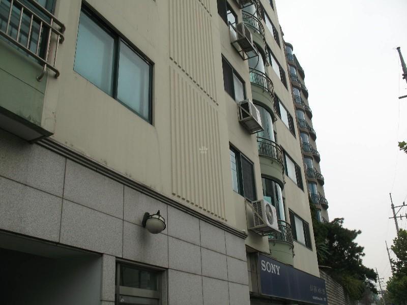 사진 235