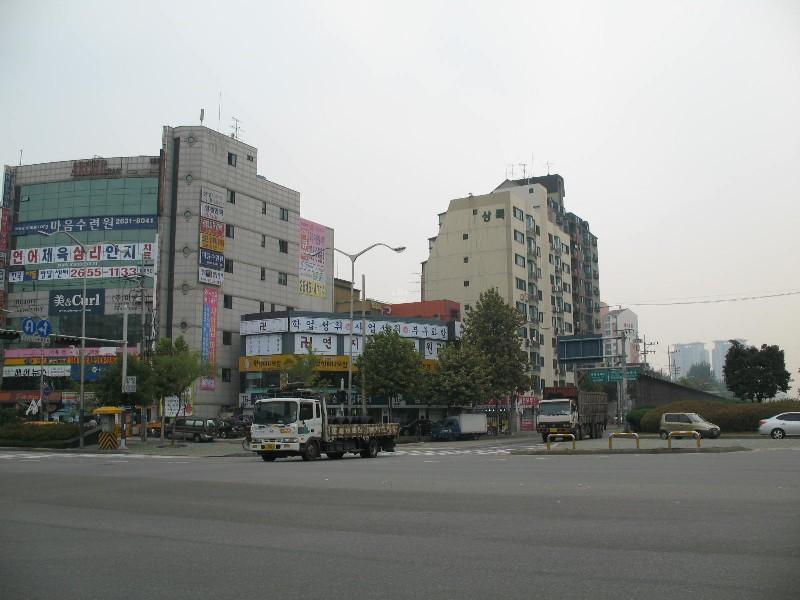 사진 231