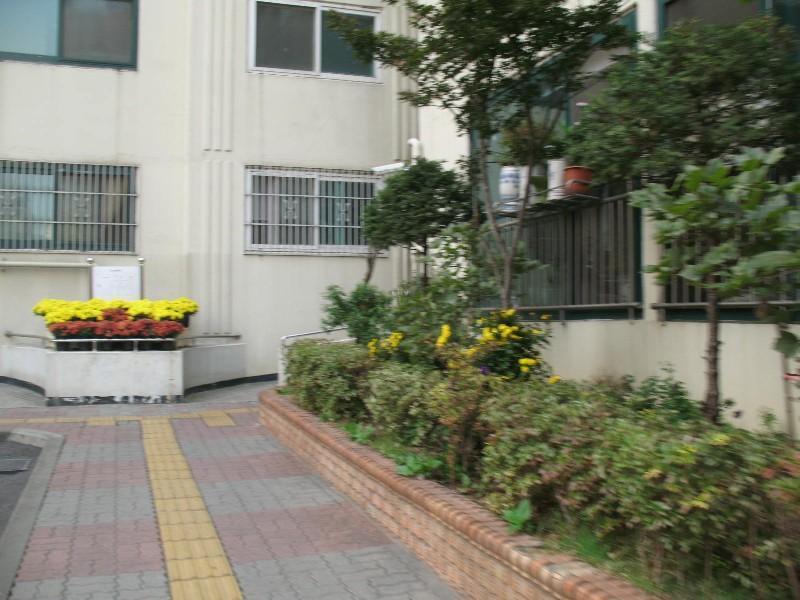 사진 784