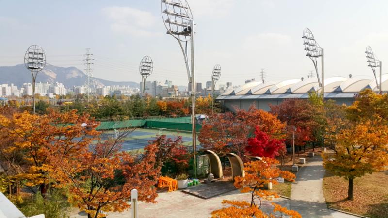 단지 주변에 위치한 시립창동운동장입니다