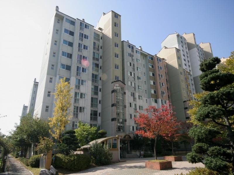 303동