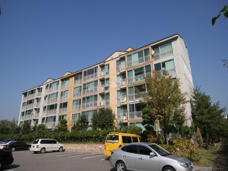 305동