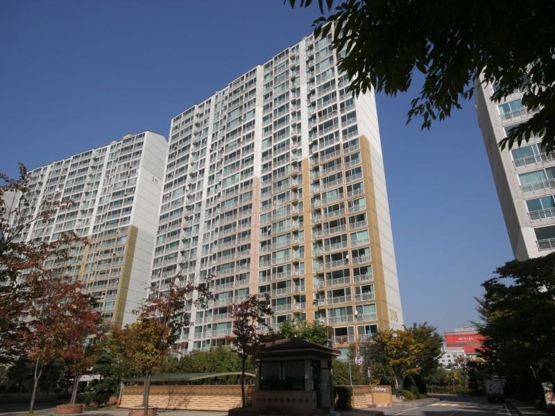 306동