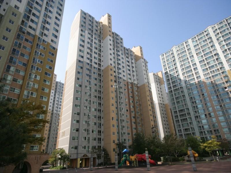 310동