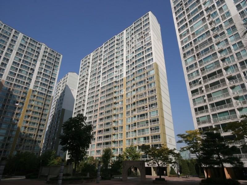 311동