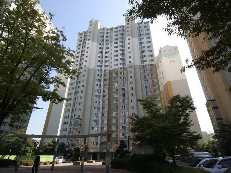 313동