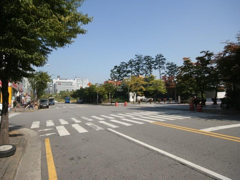 정문앞도로