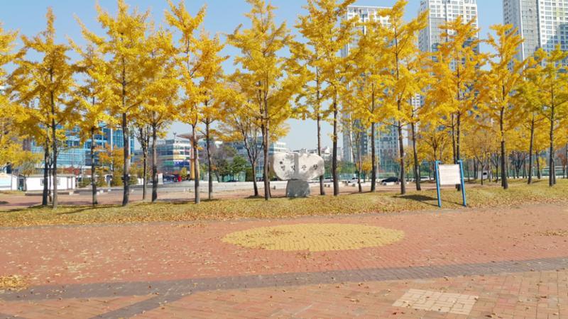 단지 근처에 공원시설이 위치하고 있어 자동차를 이용하지 않고 도보를 이용하여 주말에 가족들과 나들이 가기에 좋을것 같습니다