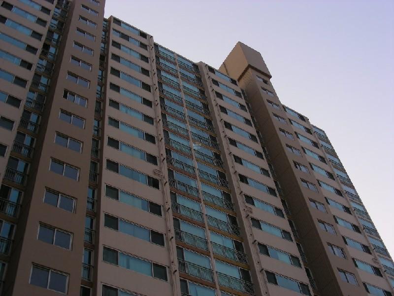 DSCN5782