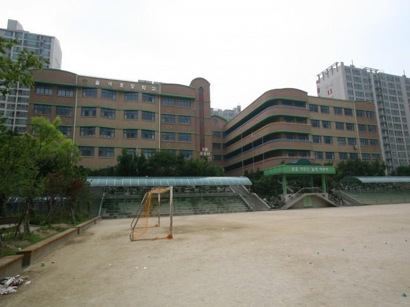 솔개초교