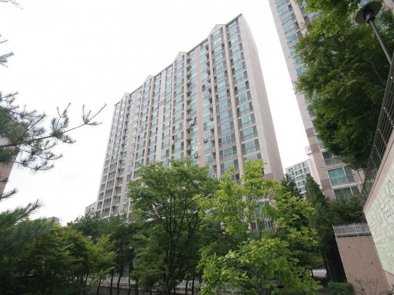 905동