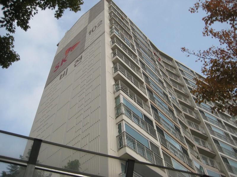 사진 254