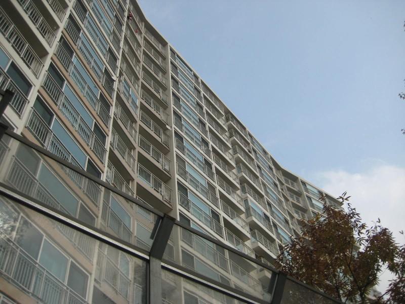 사진 255