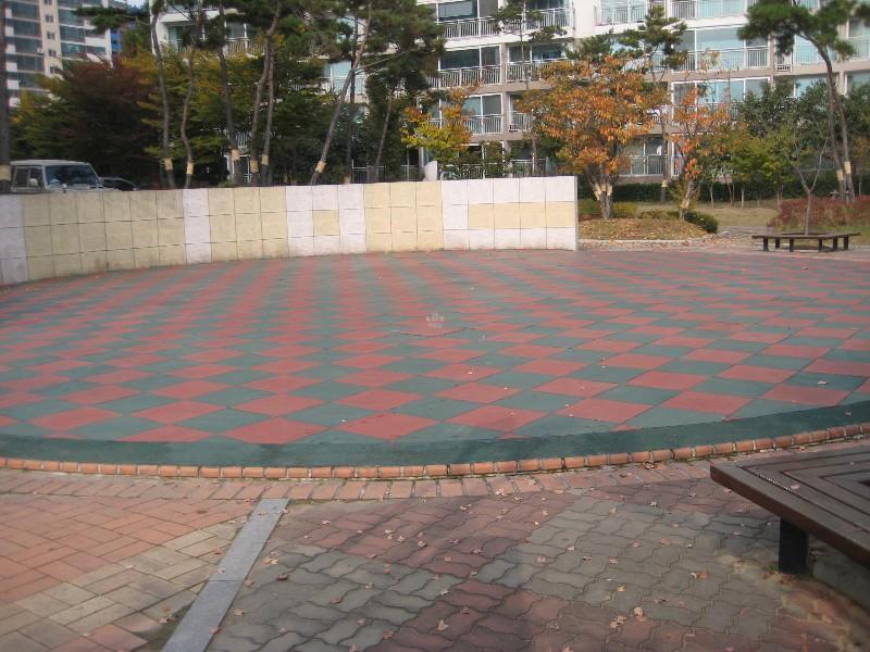 사진 257