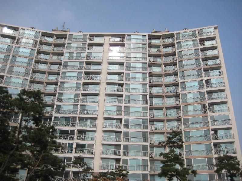 사진 258