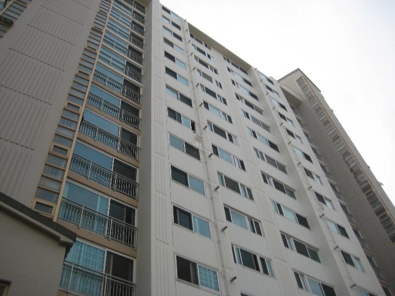 사진 262