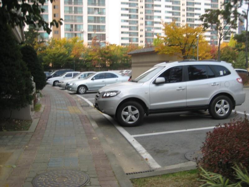 사진 259
