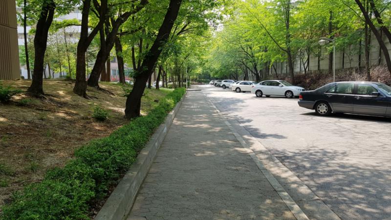경사진 곳 없이 평평한 보행로를 갖추고 있어요