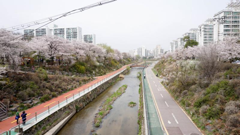 우이천입니다